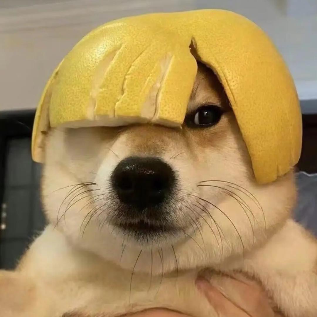 武大大（二少传媒）