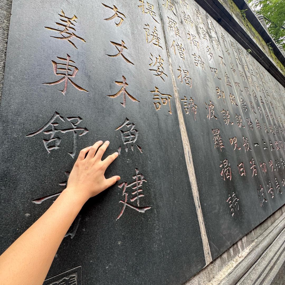 沈7