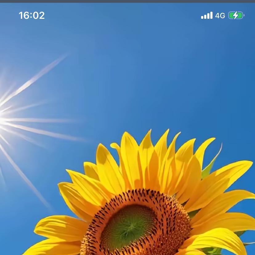 暖中暖阳