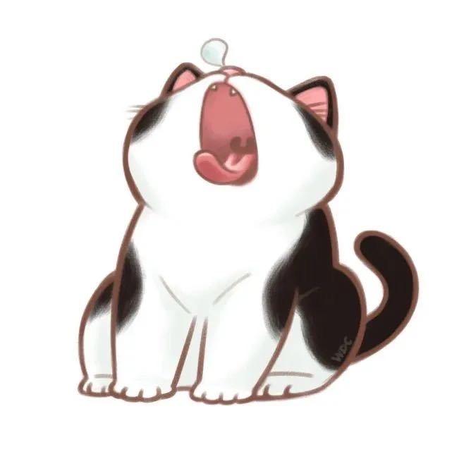 y’