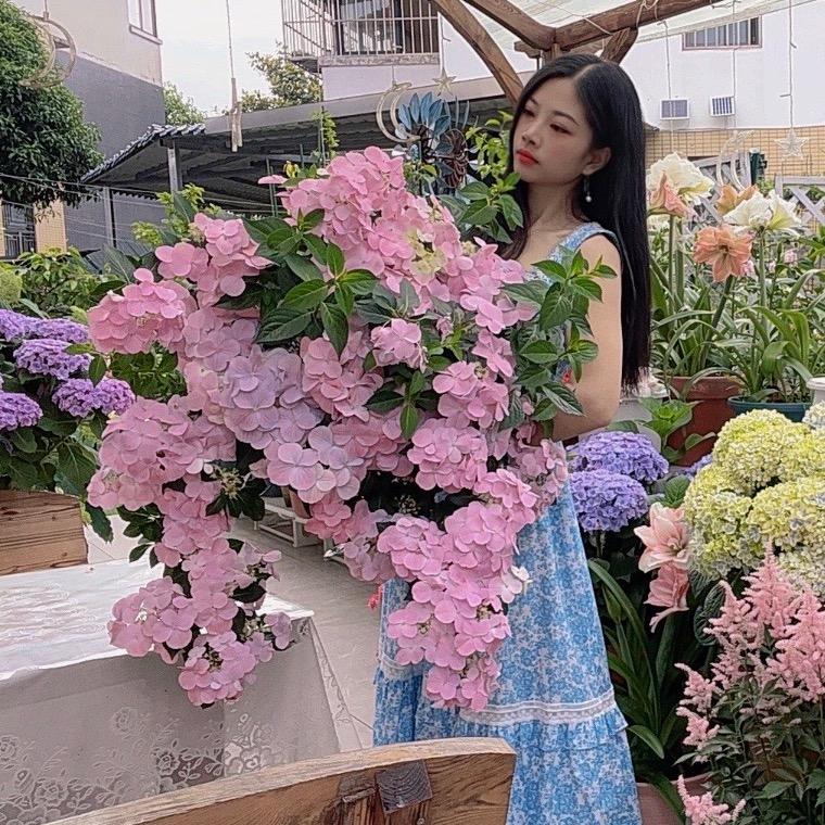 Z❤️的花园