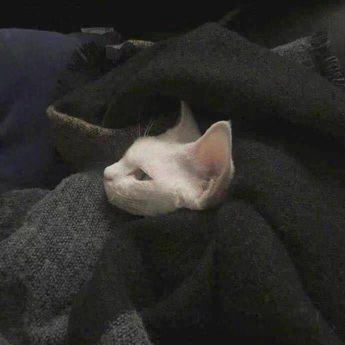 明。