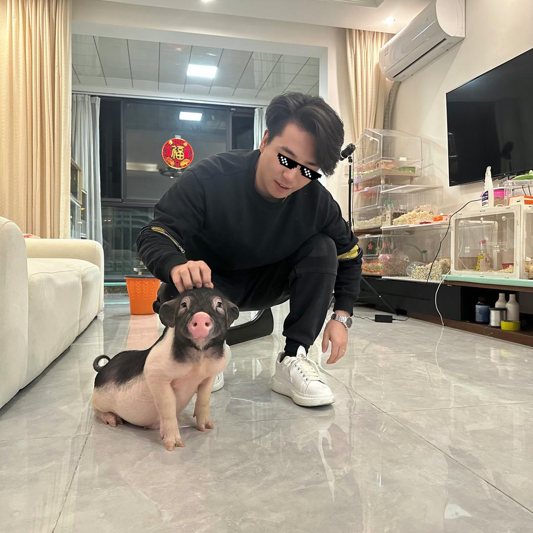 元宝不听话