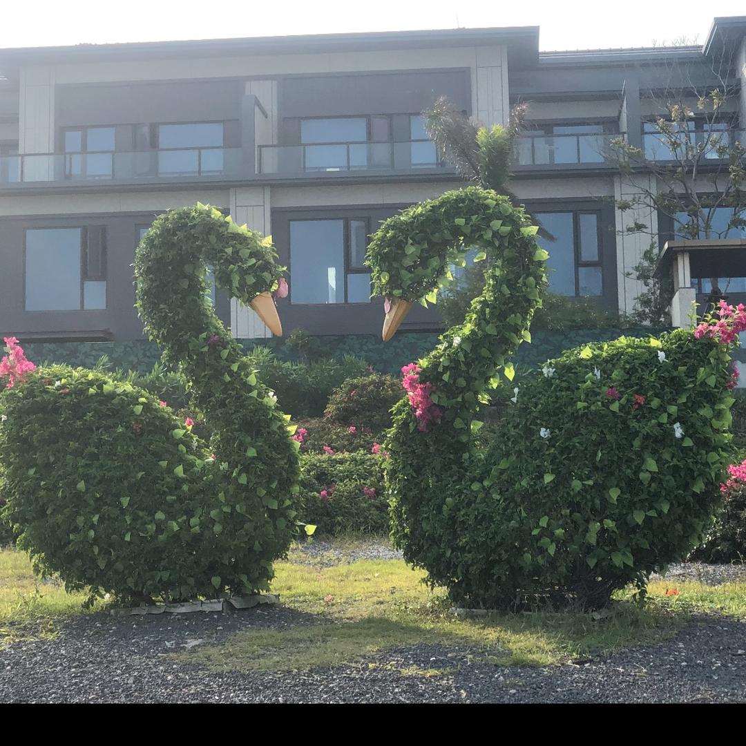 小米豪＊小美好