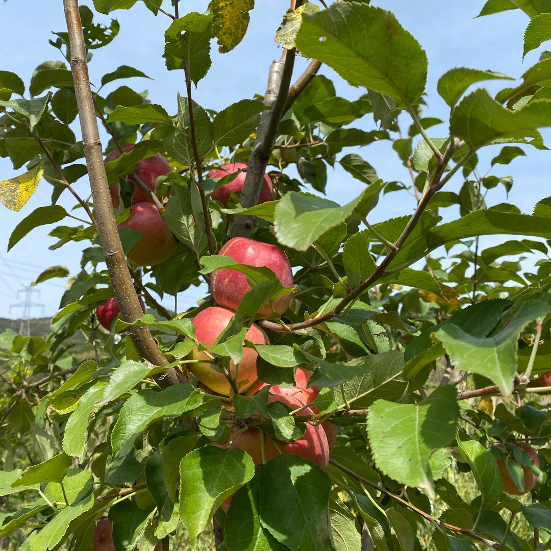 我还是我