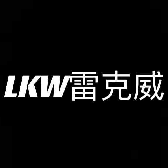 LEIKEIWEI雷克威刹车盘