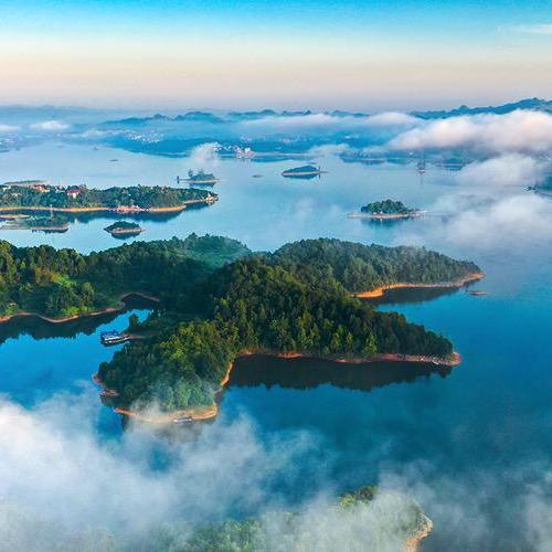 王侯将相种呼？