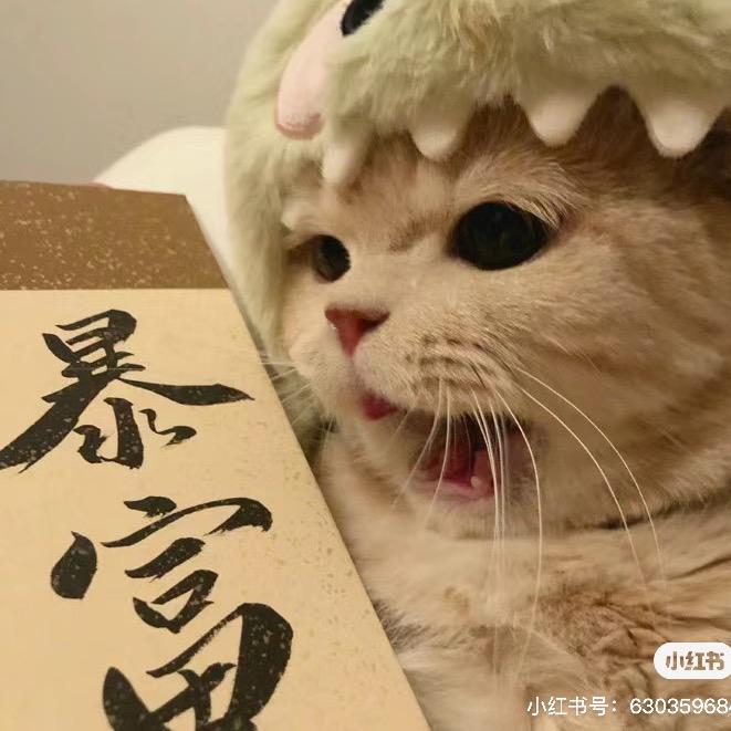 先先贝.