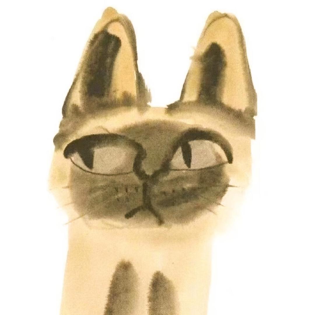 养只猫
