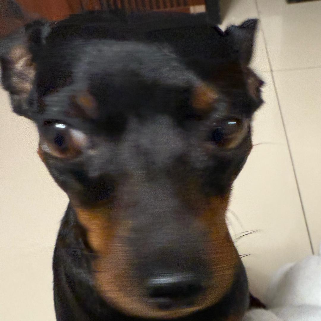 云雾里