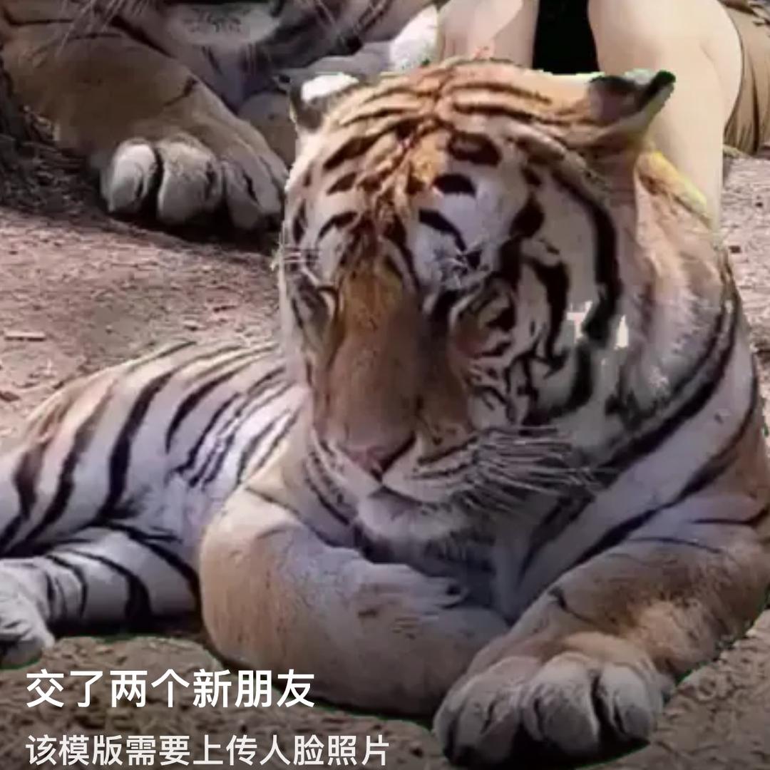简单快乐