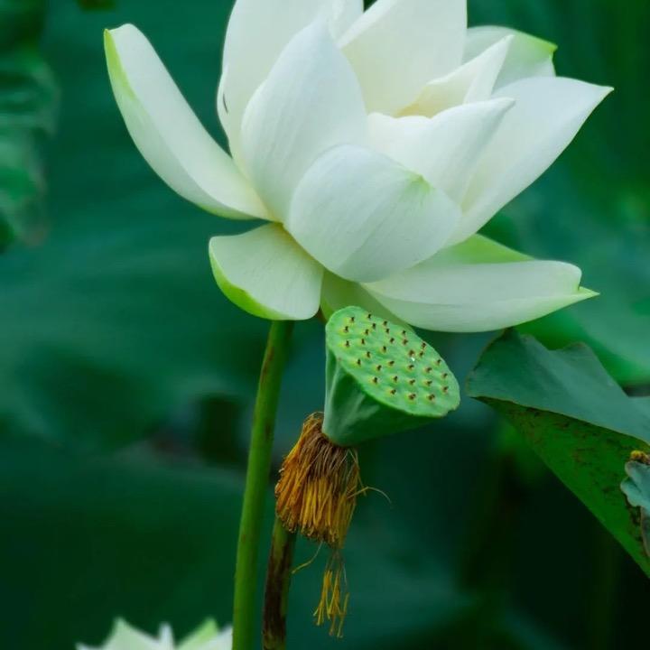 小敏家