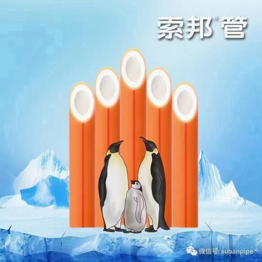 西藏索邦管总经销