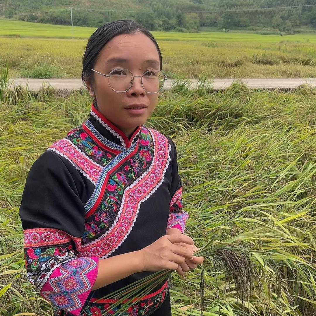 广西月香稻农产品