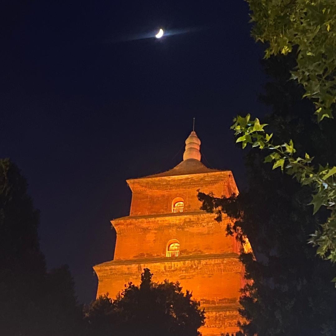桔子🍊