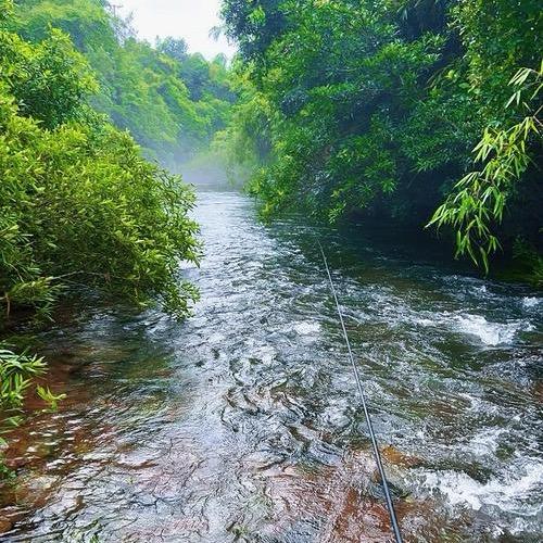 山海兄弟