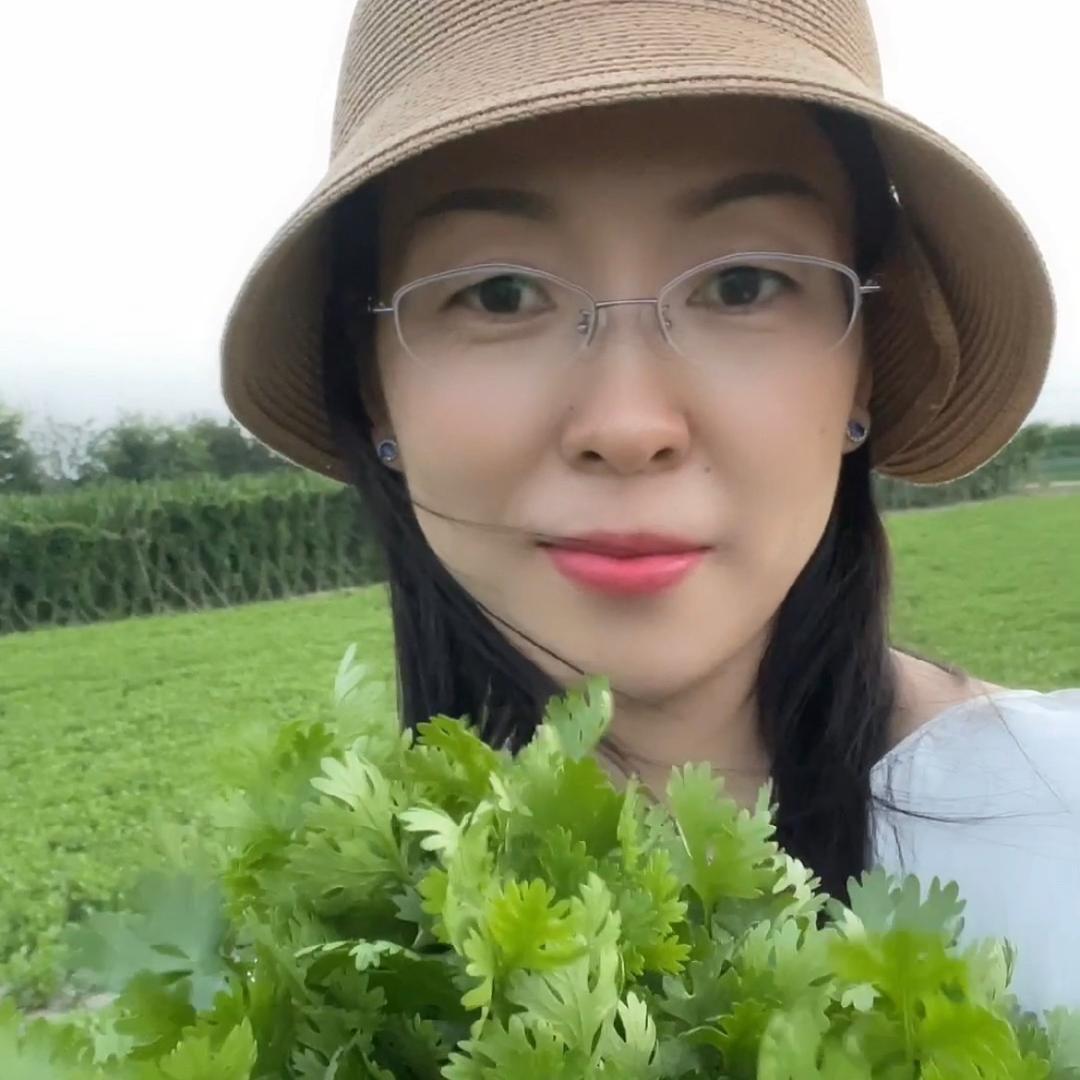 田园小杰