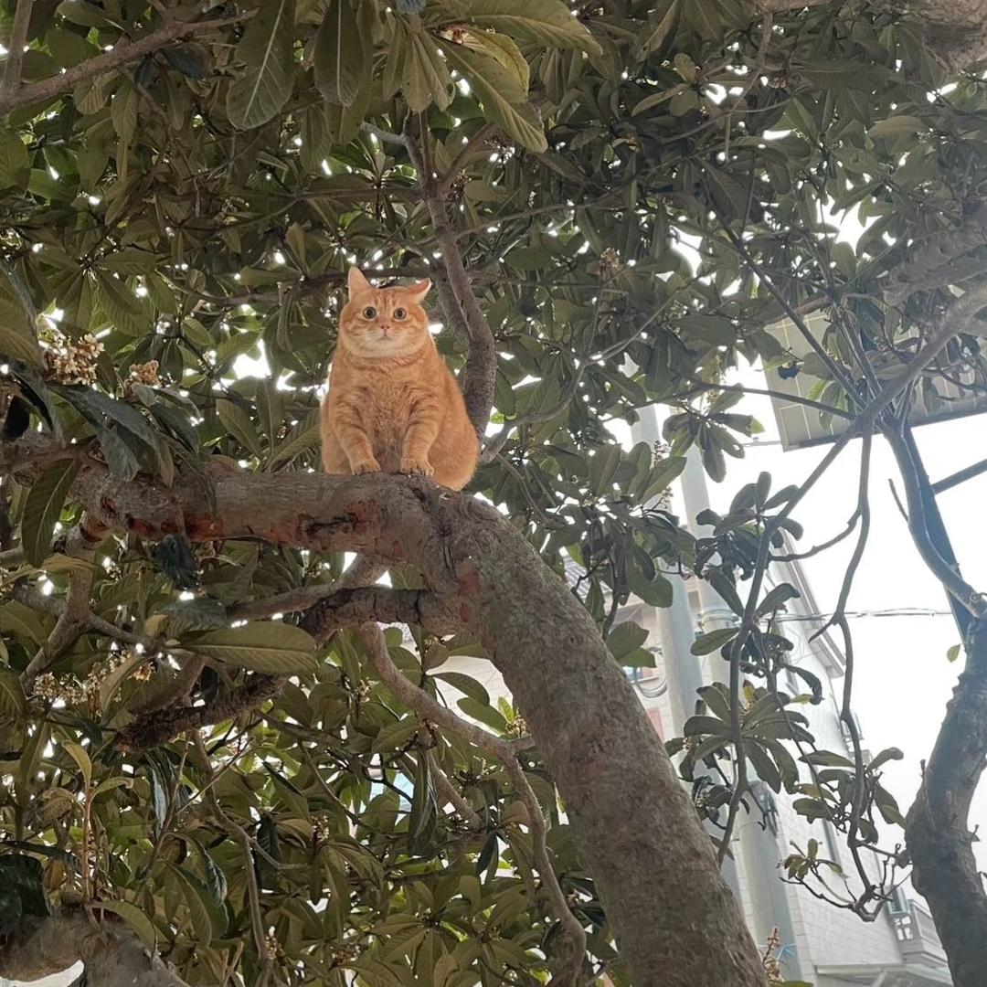 多喝点水.