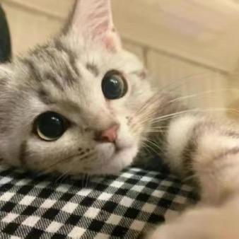 豹子头林冲