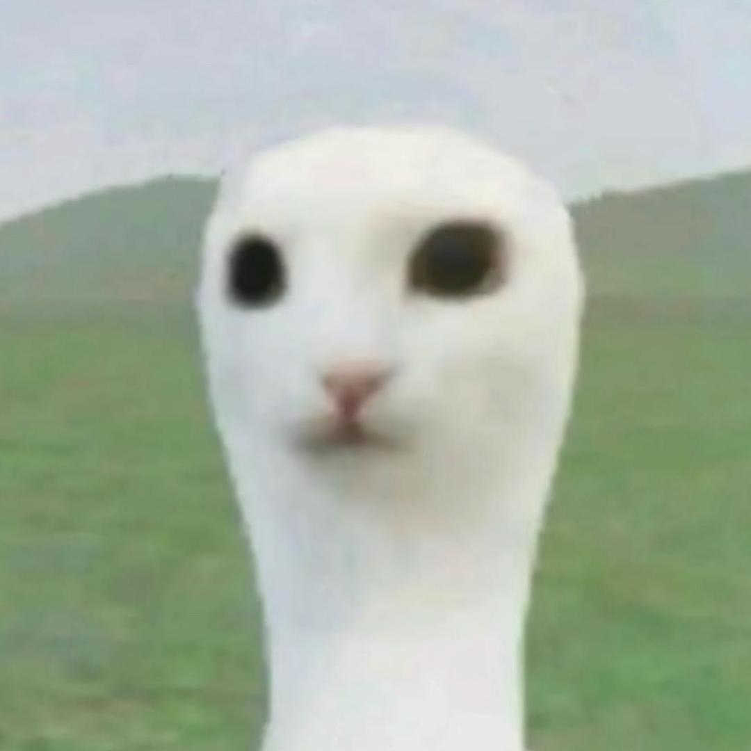 三次元佐助人间体