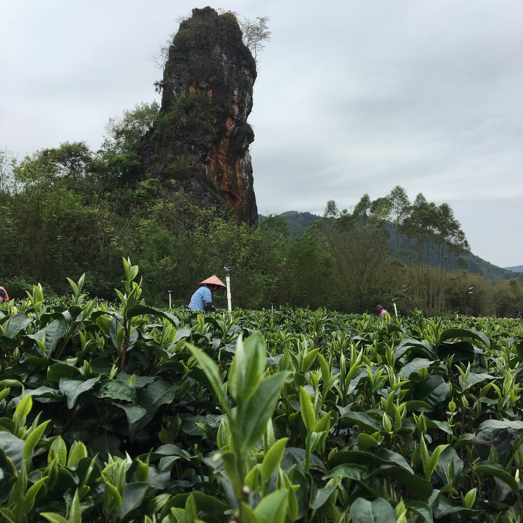 合享农业