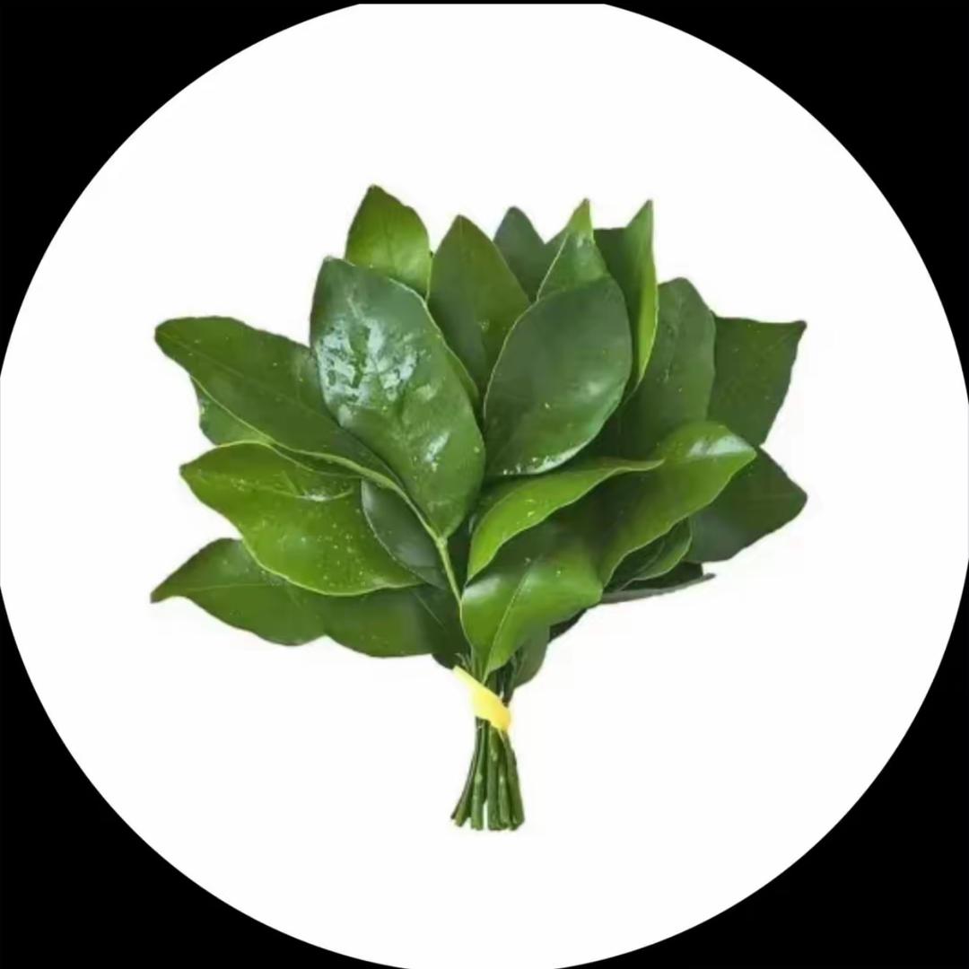 林佰亿