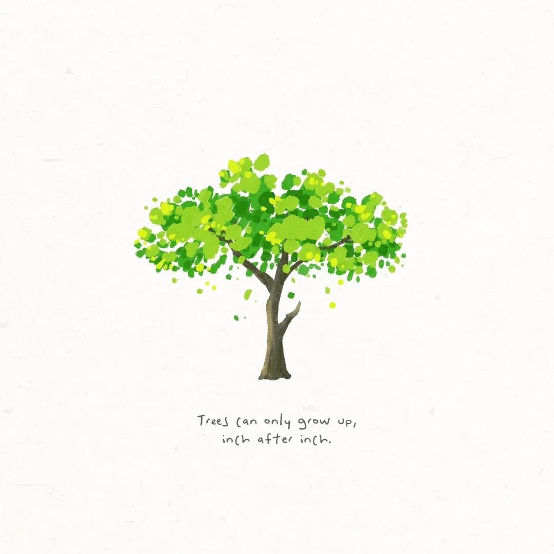 一棵十分高大的树