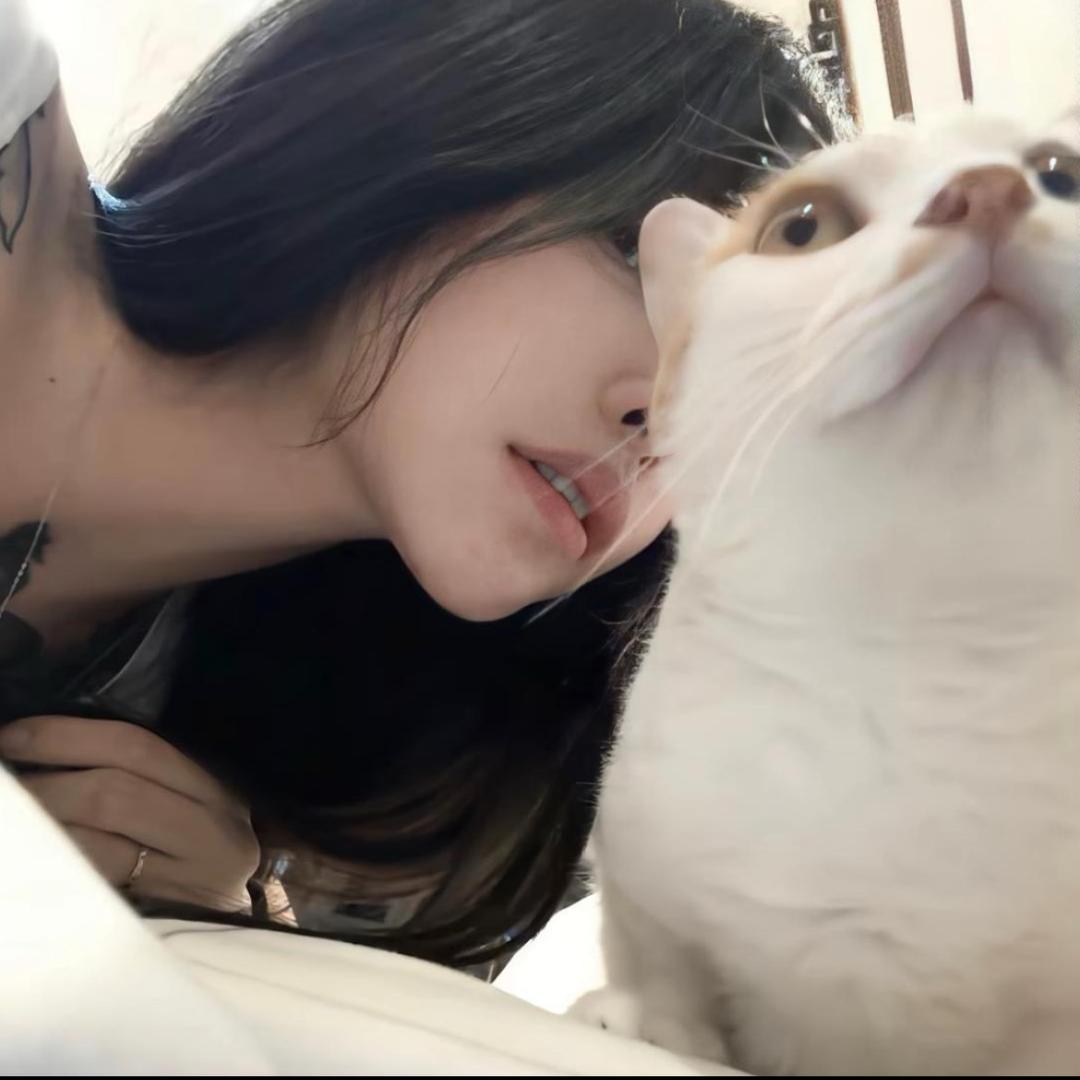 🧸睡不饱ᯅ߹🌈