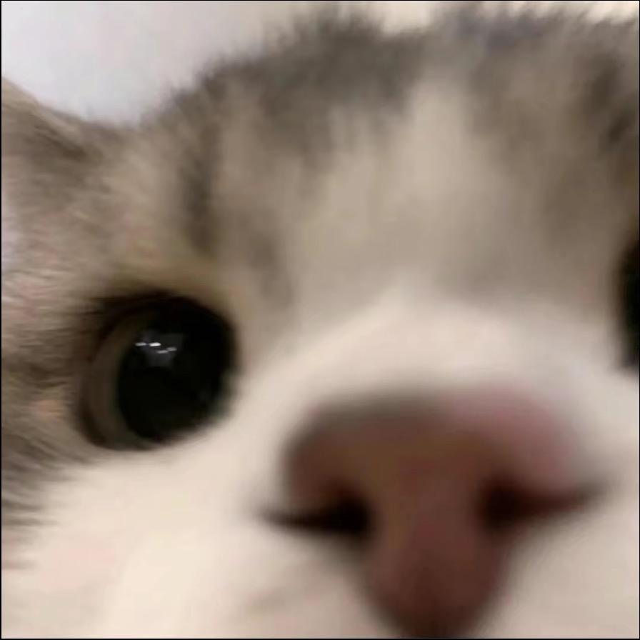 小y.