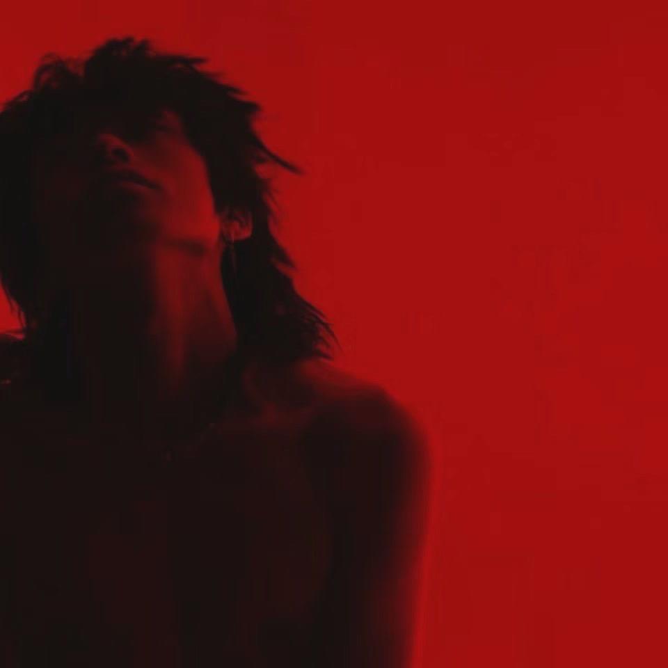 热爱生活的笨蛋