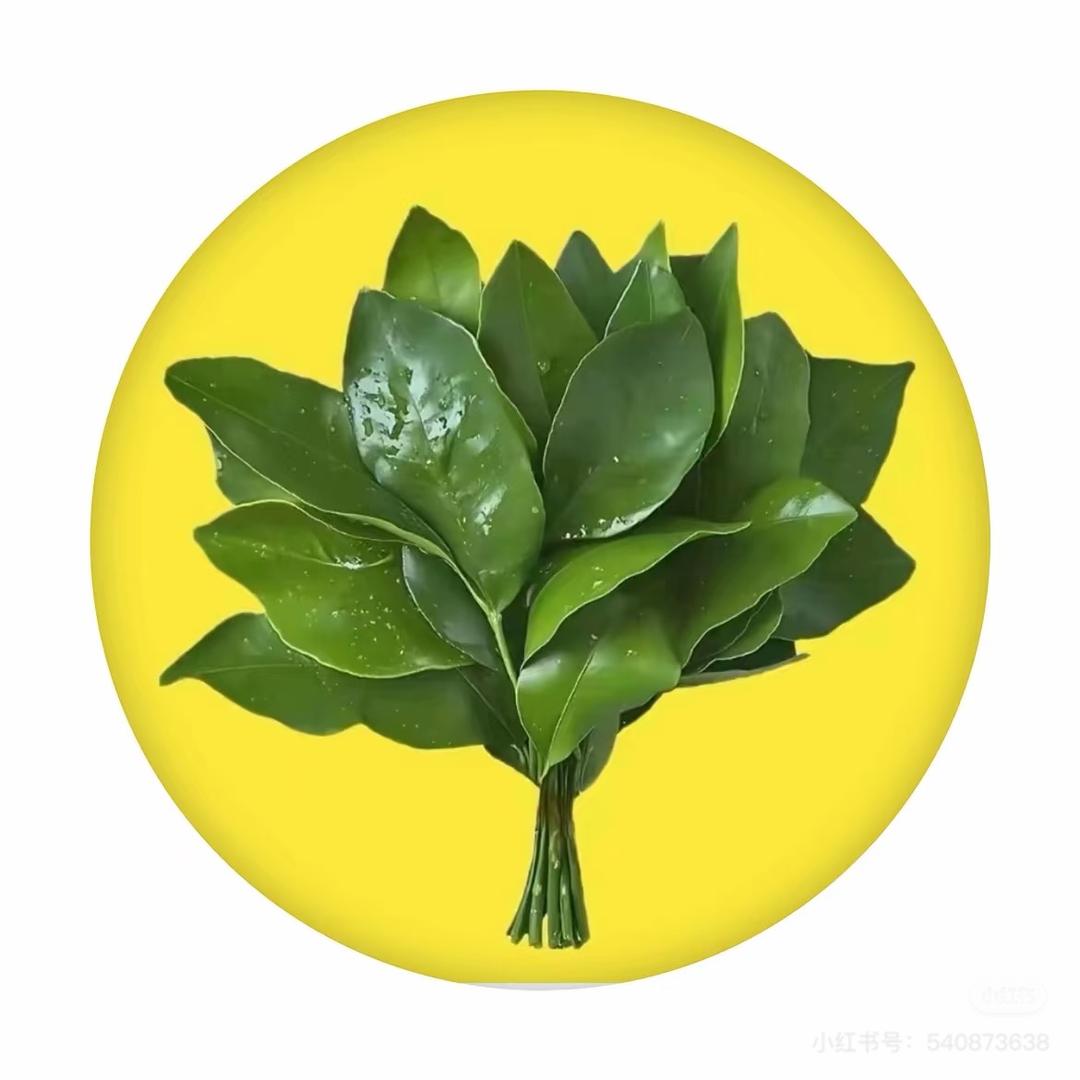 皮皮虾🍼