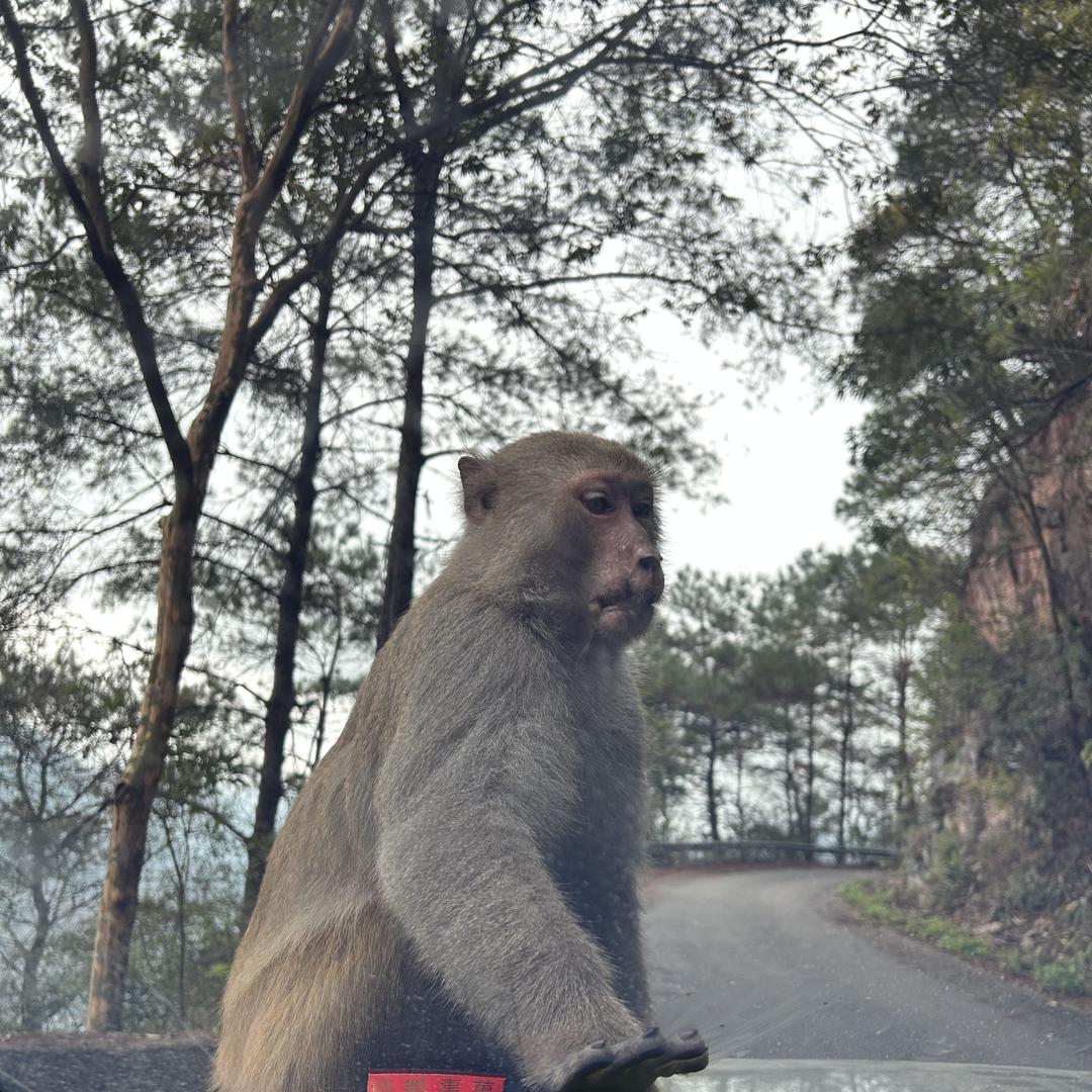 桂平市金田智锐线业