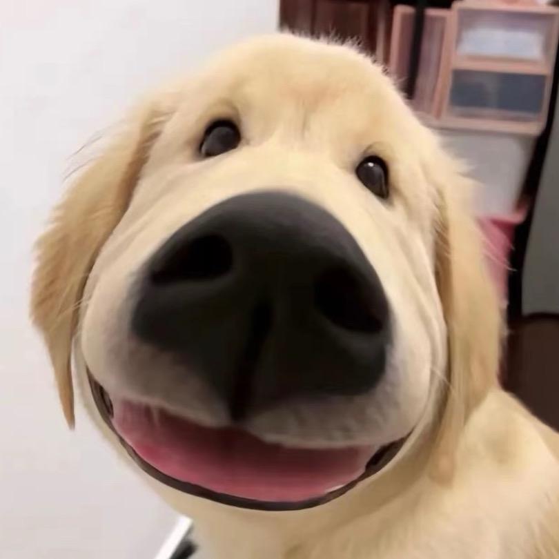 大白牙