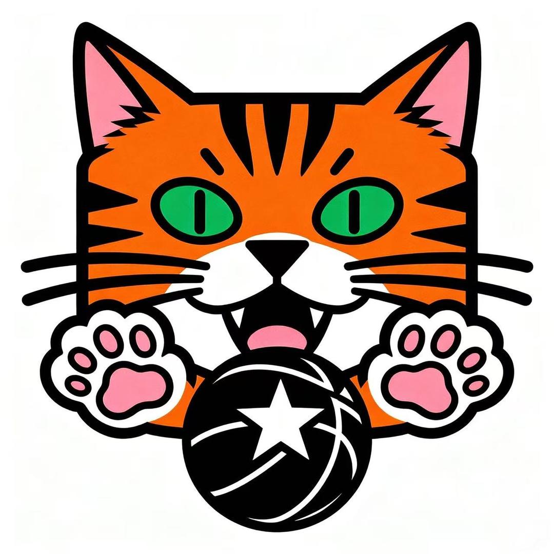 卡藏纪元球星卡社