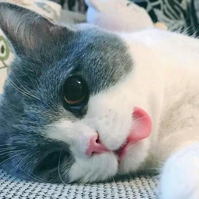 Liyi1