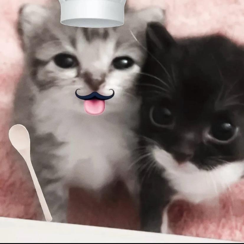 *小丸醒没醒🐺