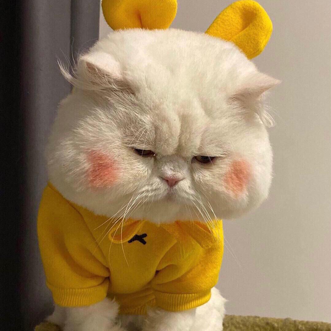 怀念