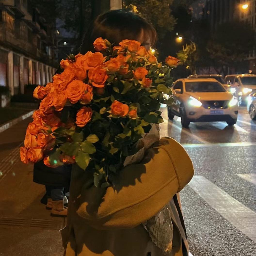 努力赚钱的毛毛