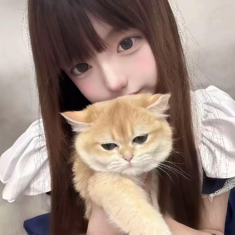 火鸡面梦女