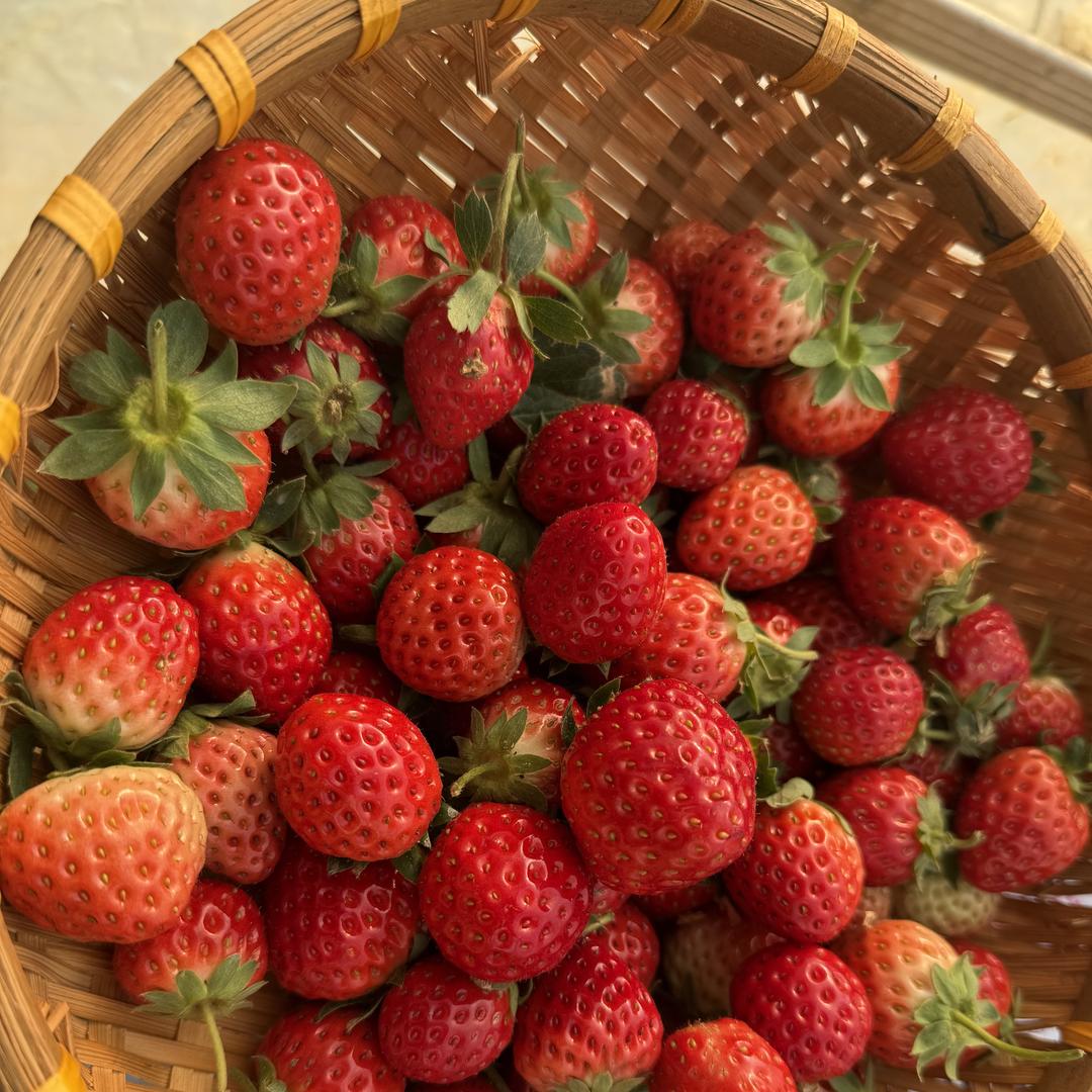 鄂州市葛店镇益农甄选