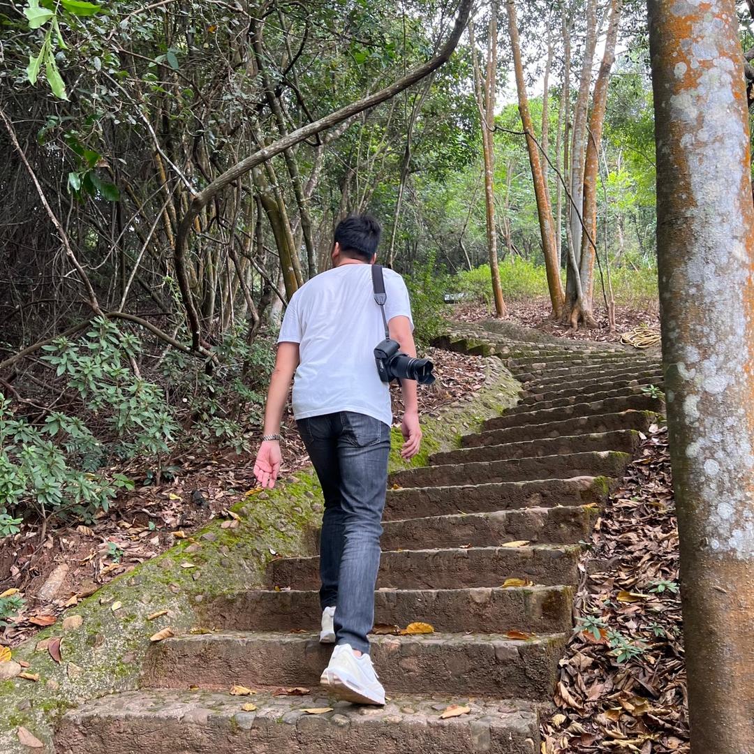 途友风情
