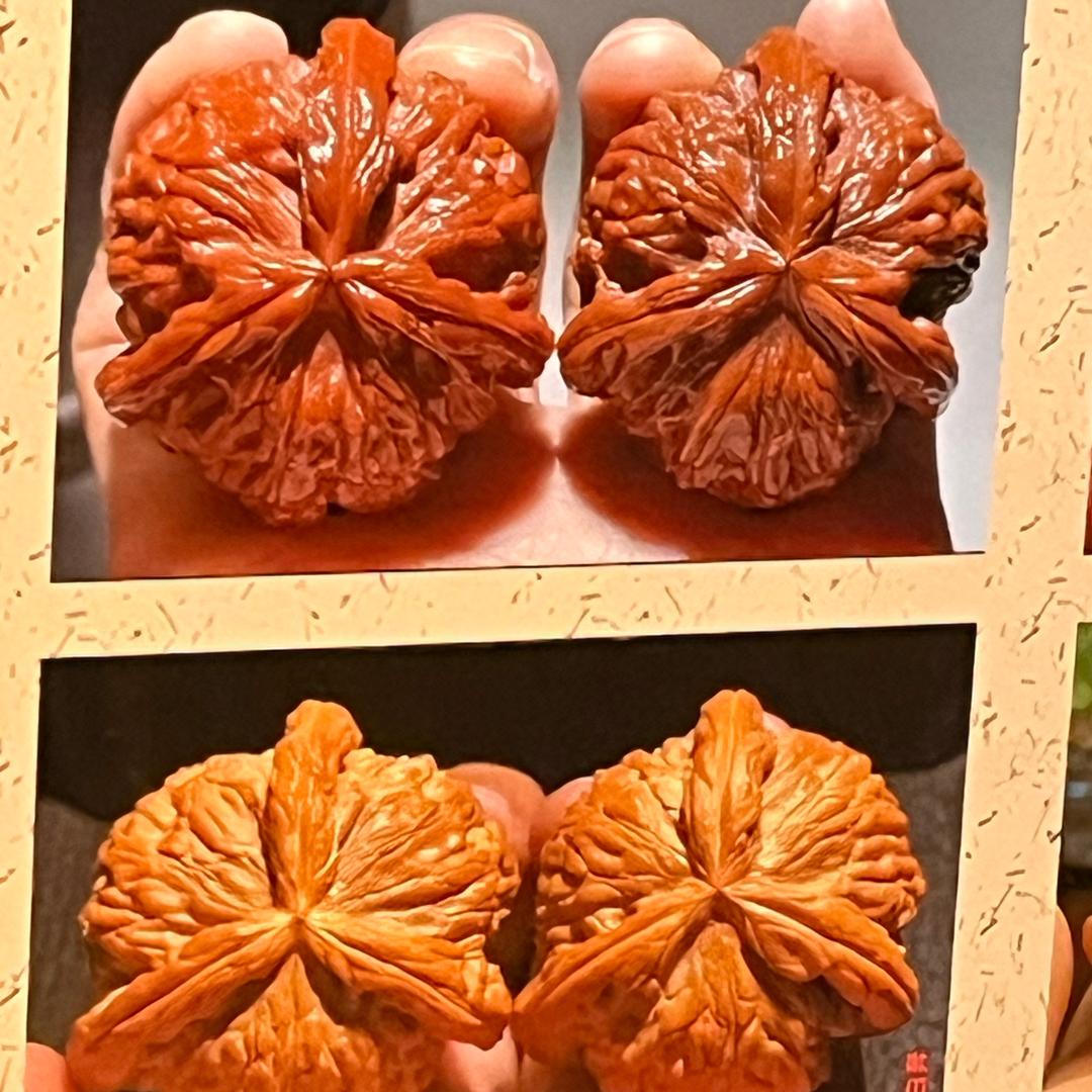 涞水鴻起文玩