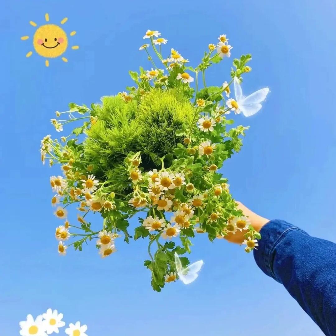 油烟机清洗全国上门清洗