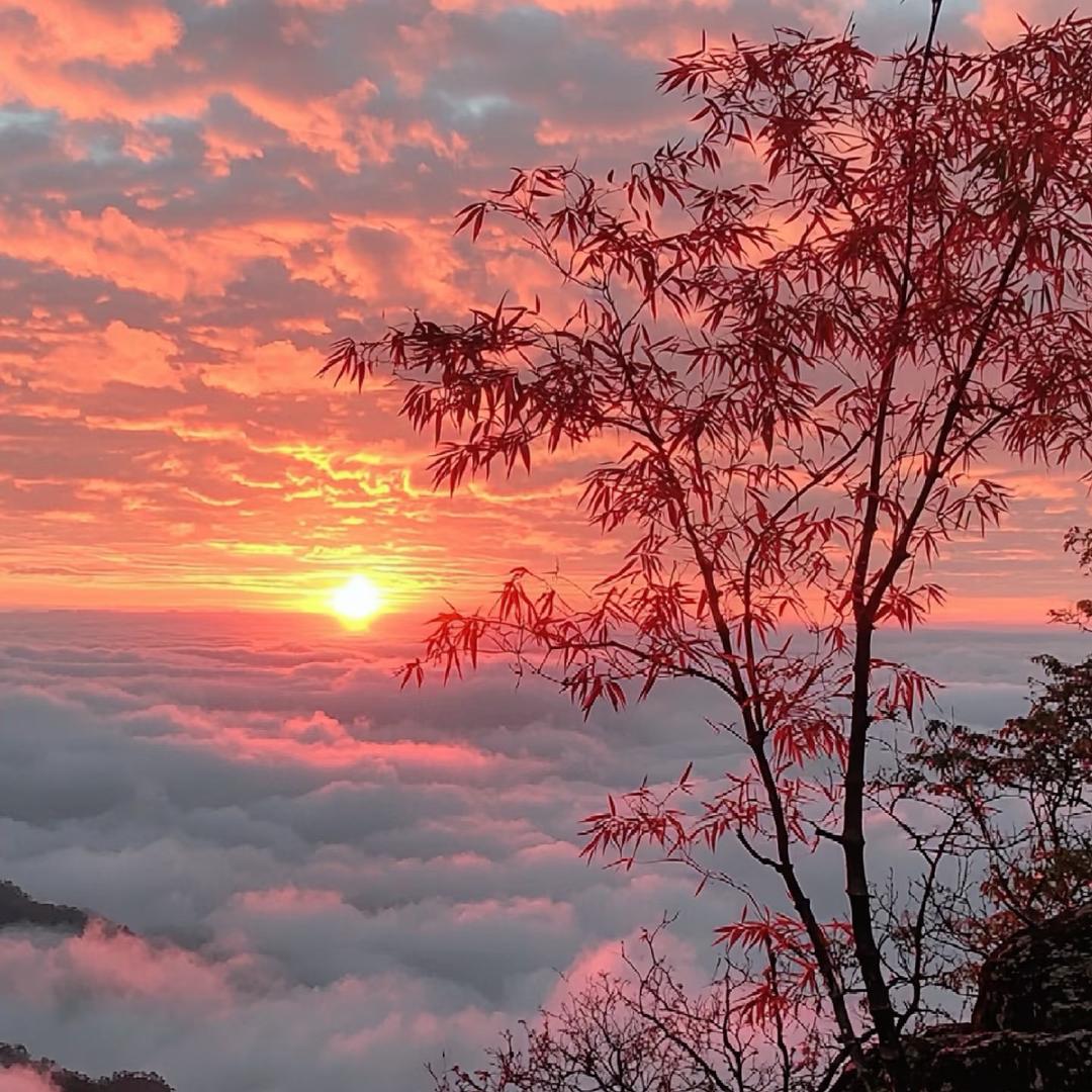 老百姓故事分享