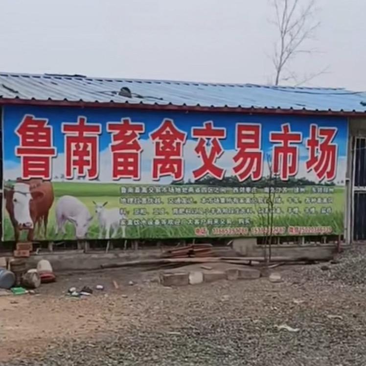 兰陵县鲁南畜禽交易市场:王保龙