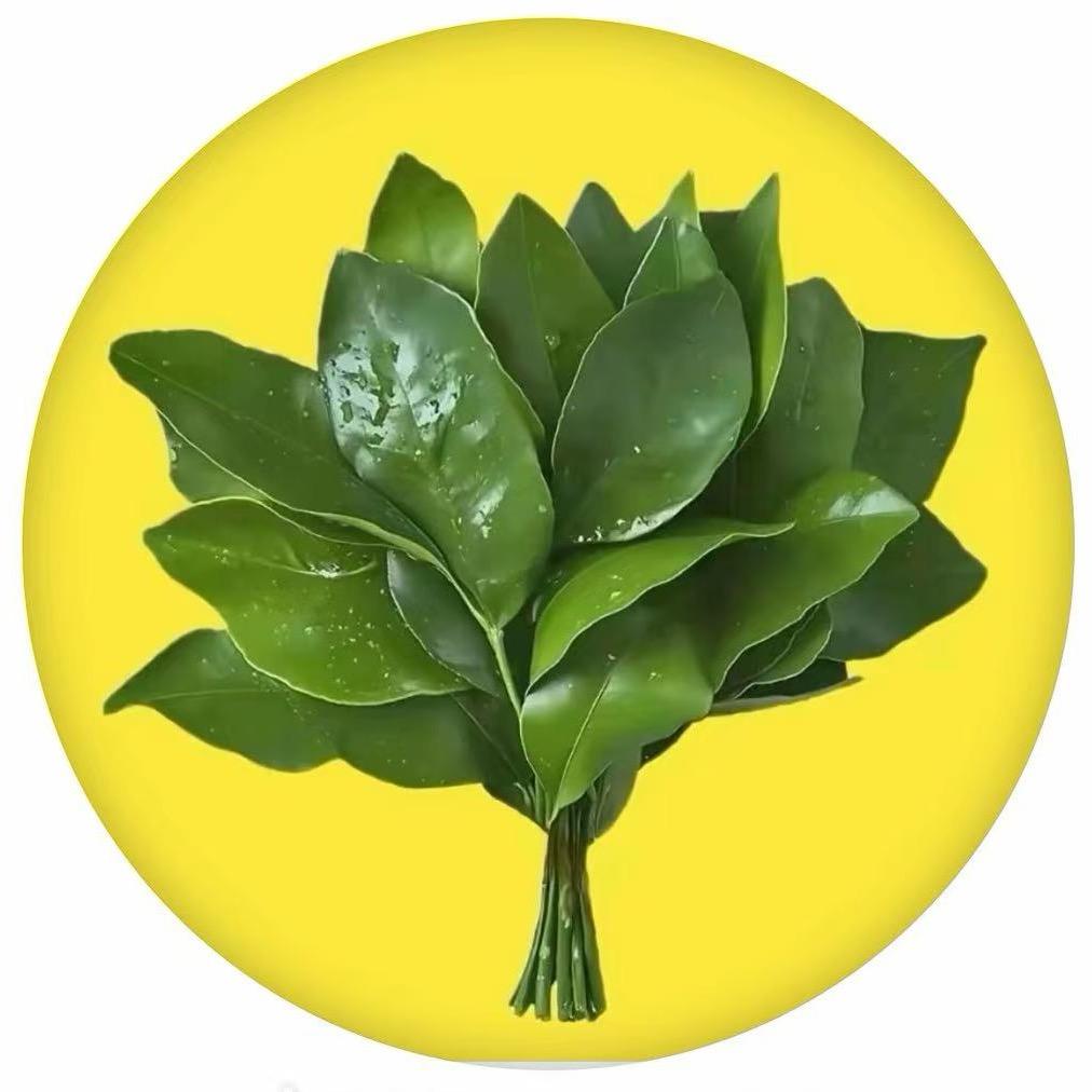 小柠檬🧍‍♀️（家政）