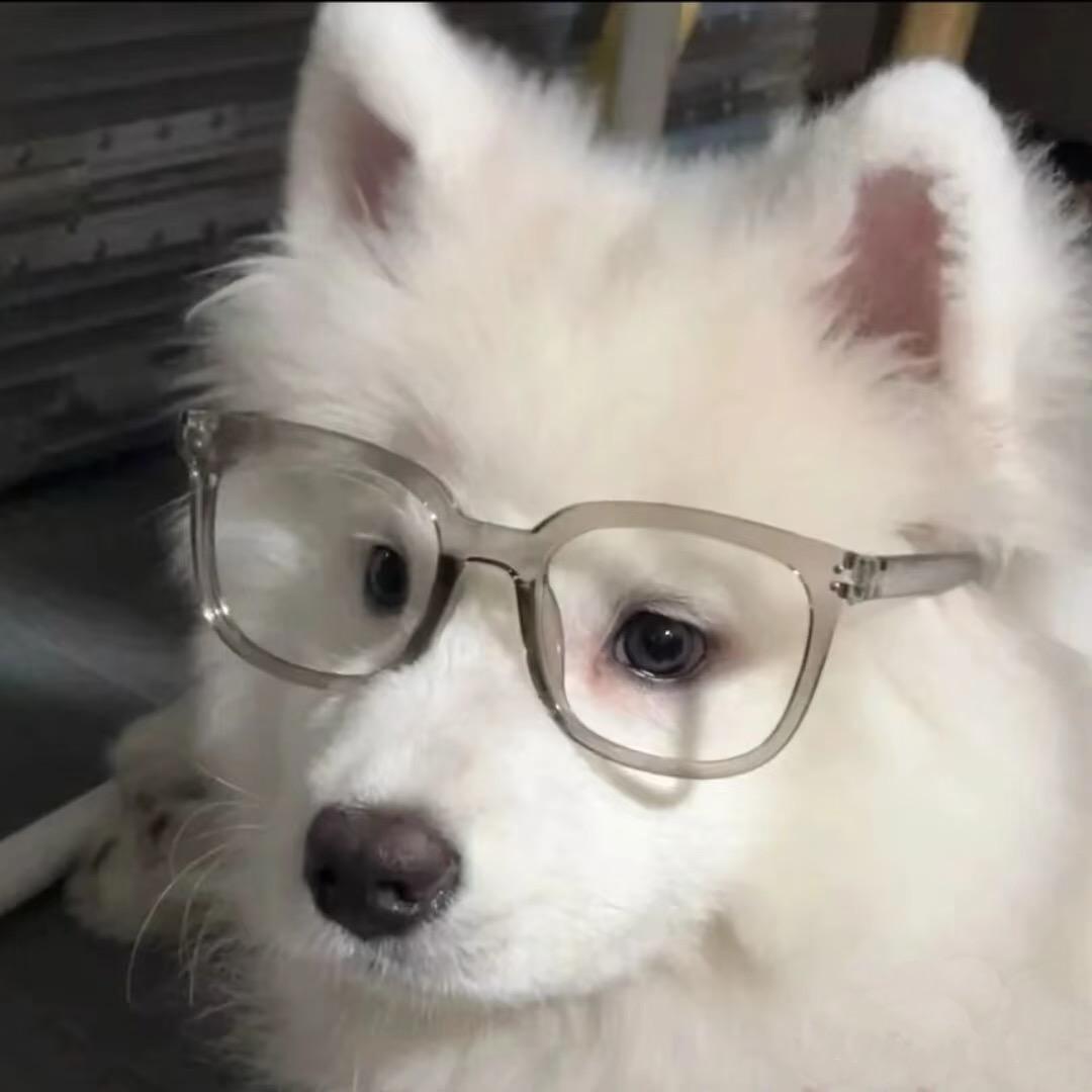 讨厌孤独语言
