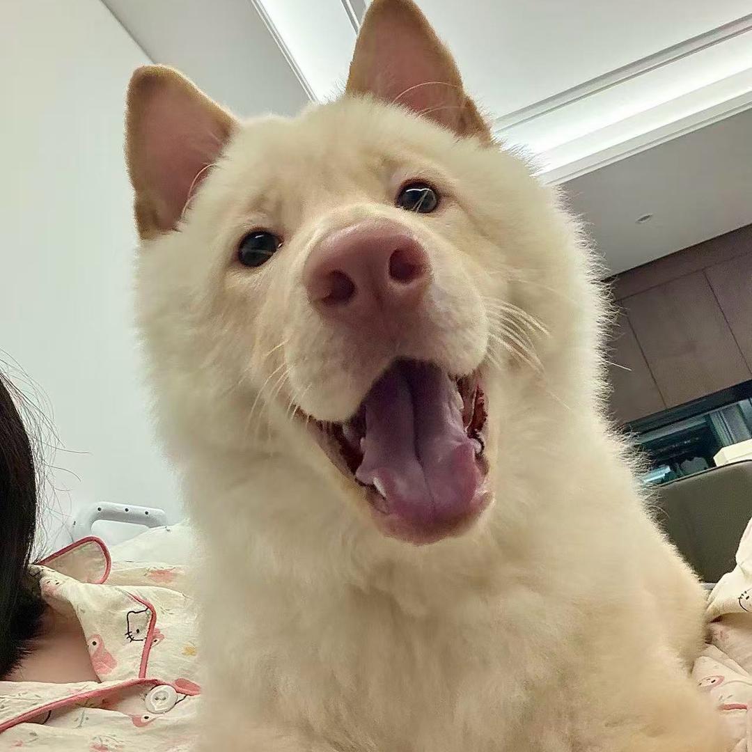 Brian