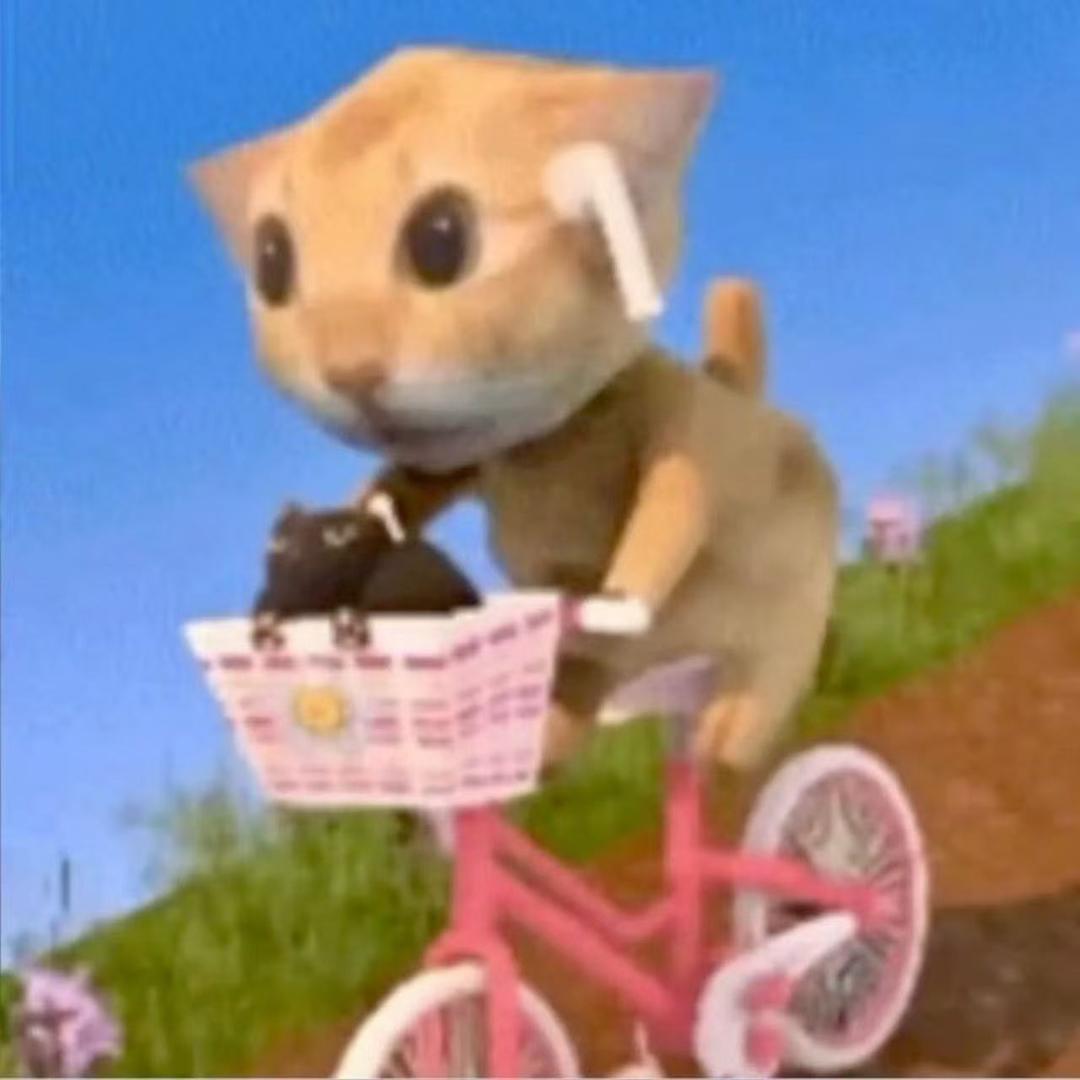 我与数学不共戴天