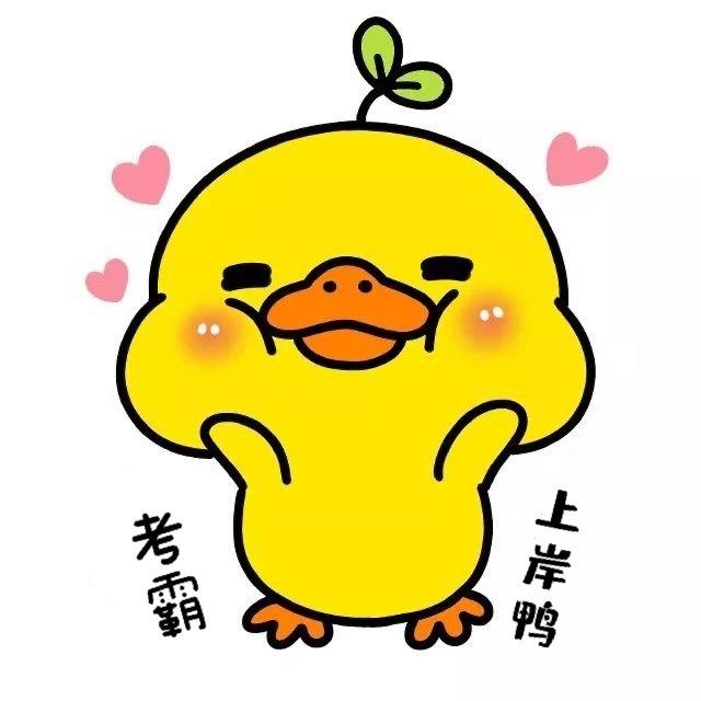 我要上岸鸭~